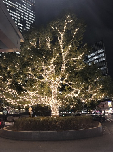名古屋駅のクリスマスイルミネーション　2018　