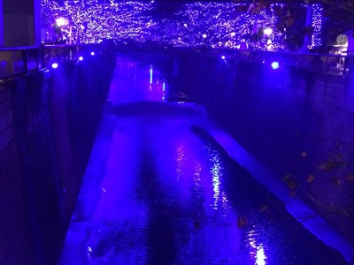 20141219161340.JPG