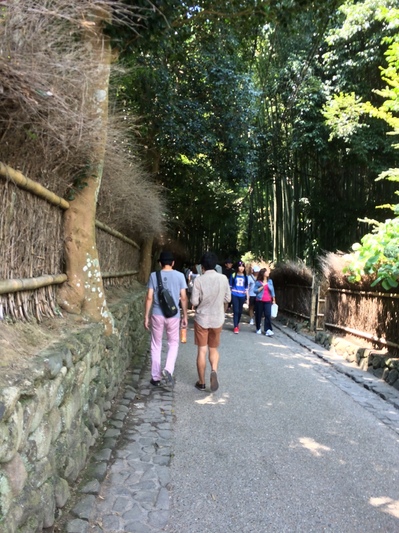 嵐山の竹林の小径1