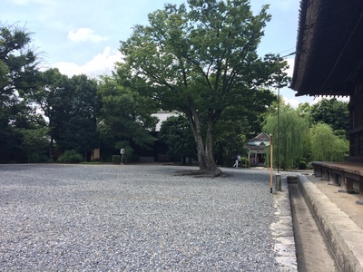 京都　三十三間堂