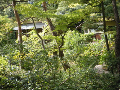 根津美術館　東京　青山　建築　隈研吾　和　癒し　女性に人気