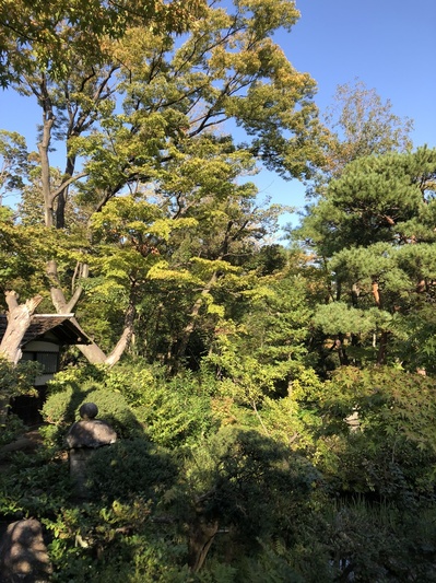 根津美術館　東京　青山　建築　隈研吾　和　癒し　女性に人気