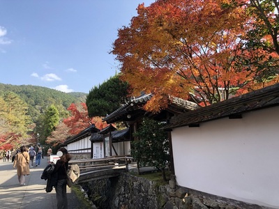 南禅寺　紅葉　京都