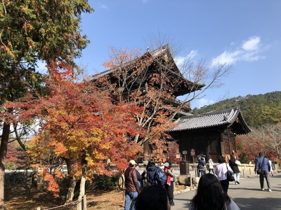 南禅寺　紅葉　京都