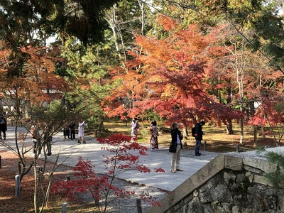 南禅寺　紅葉　京都