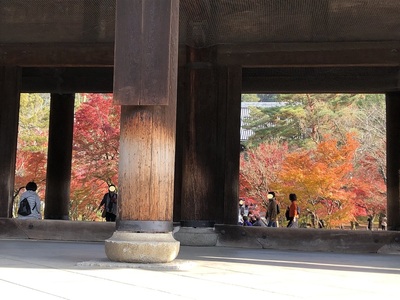 南禅寺　紅葉　京都