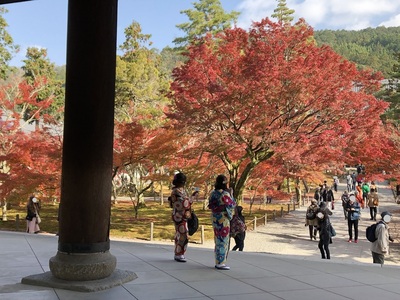 南禅寺　紅葉　京都