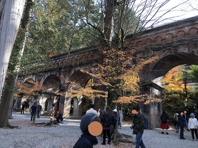 南禅寺　紅葉　京都