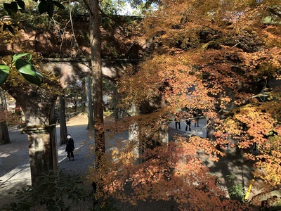 南禅寺　紅葉　京都　水道橋