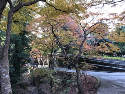 南禅寺　紅葉　京都　水道橋