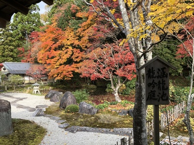 南禅寺　紅葉　京都