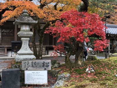 南禅寺　紅葉　京都