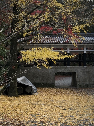 南禅寺　紅葉　京都