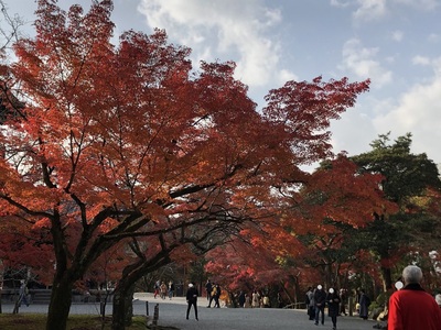 南禅寺　紅葉　京都