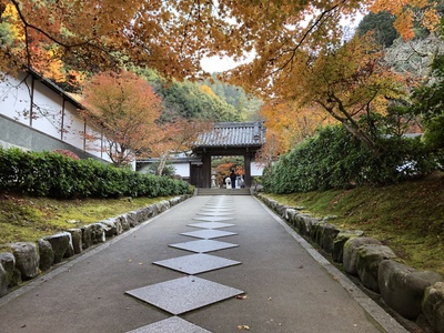 南禅寺　紅葉　京都　ﾎﾞﾍﾐｱﾝラプソティ