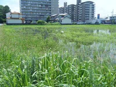 一宮市グループホーム、認知症対応型共同生活介護事業所、建築設計、福祉施設