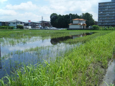 一宮市グループホーム、認知症対応型共同生活介護事業所、建築設計、福祉施設